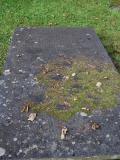 image of grave number 796535